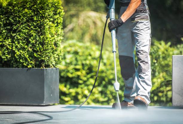 Best House Exterior Washing  in South Oroville, CA