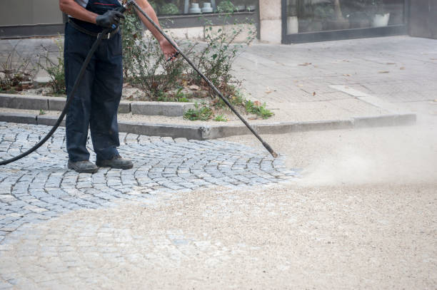Animal Enclosure Cleaning in South Oroville, CA